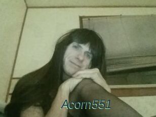 Acorn551