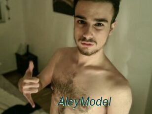 AleyModel