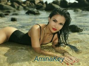 AminaKey