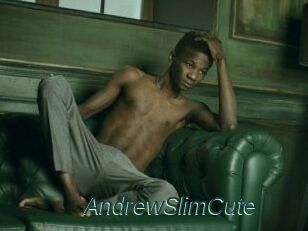AndrewSlimCute