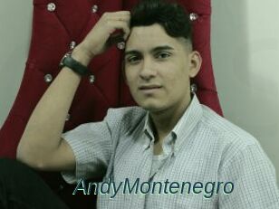 AndyMontenegro