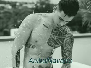 AnibalNavarro