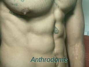 Anthrodomis