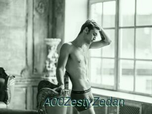 A00ZestyZedan