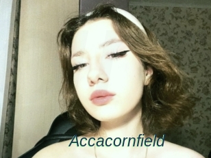 Accacornfield