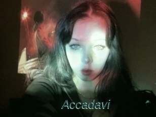 Accadavi