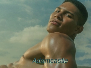 Adamcastle