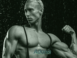 Adonis_