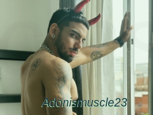 Adonismuscle23