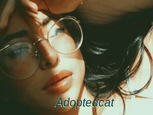 Adoptedcat