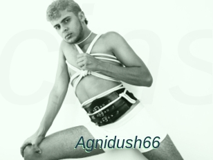 Agnidush66