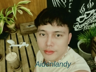 Aidenlandy