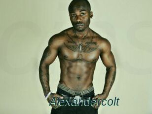 Alexandercolt