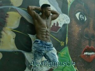 Alexbigmuscle