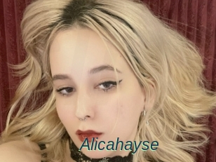 Alicahayse
