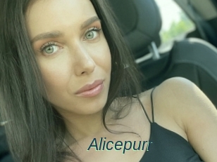 Alicepurr