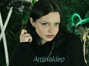 Aminaklep