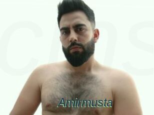 Amirmusta