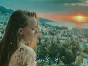 Amismett