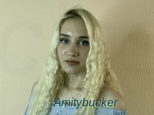 Amitybucker