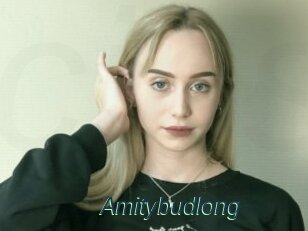 Amitybudlong
