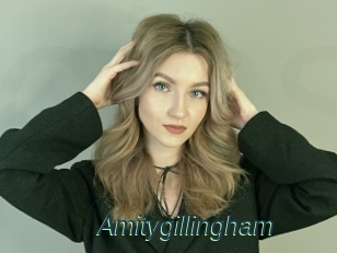 Amitygillingham