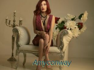 Amyconway