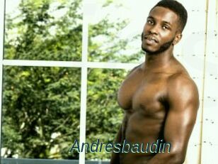 Andresbaudin