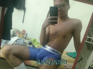 Andypolla