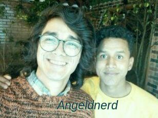 Angeldnerd
