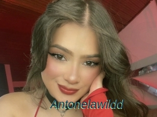Antonelawildd