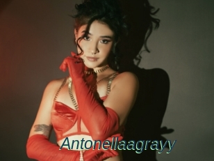 Antonellaagrayy