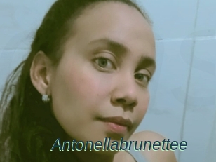 Antonellabrunettee