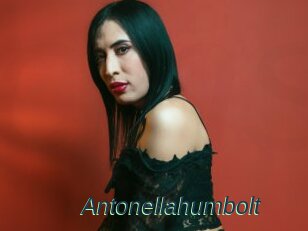 Antonellahumbolt