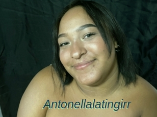 Antonellalatingirr