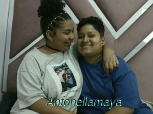 Antonellamaya