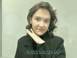 Antoniacavell