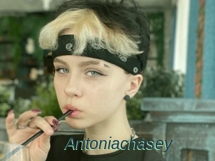 Antoniachasey