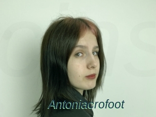 Antoniacrofoot
