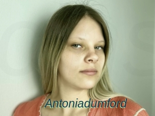 Antoniadumford