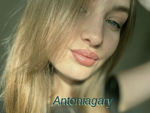 Antoniagary