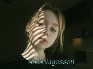 Antoniagosson