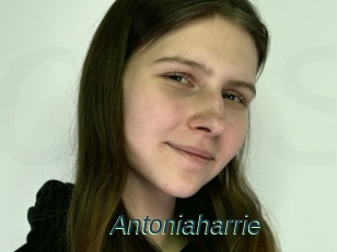 Antoniaharrie