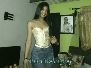 Antoonellagrey