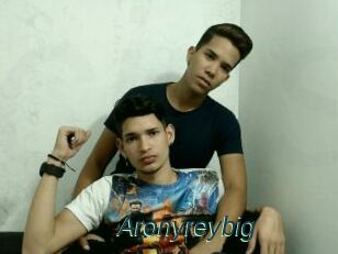 Aronyreybig