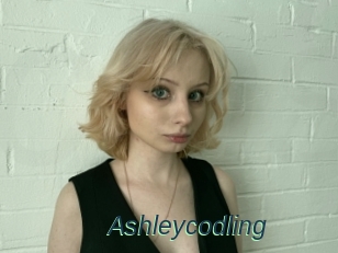 Ashleycodling