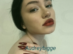 Audreybigge