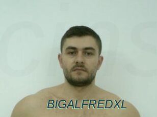 BIGALFREDXL