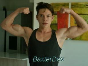 BaxterDex