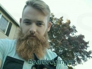 Beardedginger